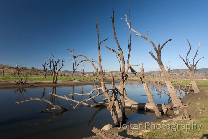 Beechworth_044.jpg - Murray River near Hume Reservoir, Victoria